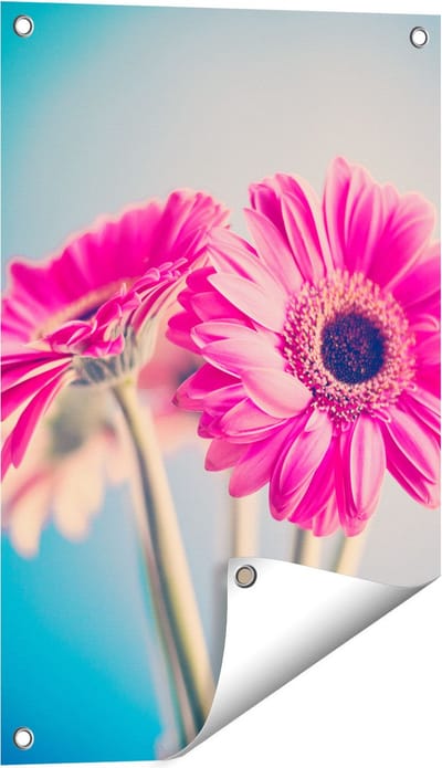 Gards Tuinposter Twee Roze Anjers - Bloemen - 40x60 cm - Tuindoek - Tuindecoratie - Wanddecoratie buiten - Tuinschilderij
