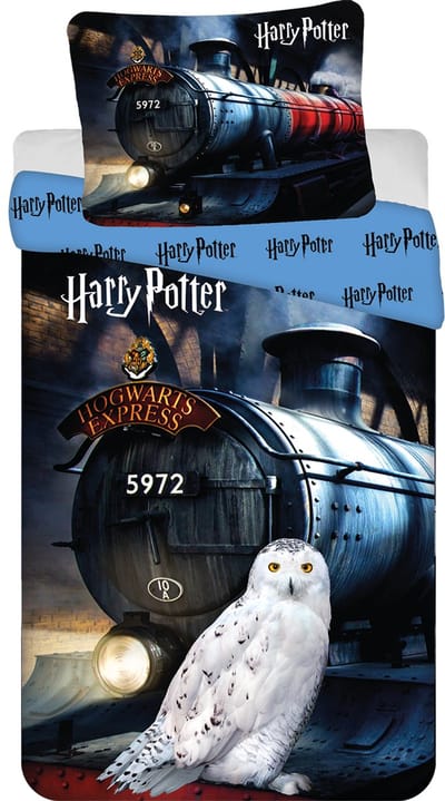 Harry Potter Dekbedovertrek Hogwarts Express - 140 x 200 cm + 70 x 90 cm - Katoen