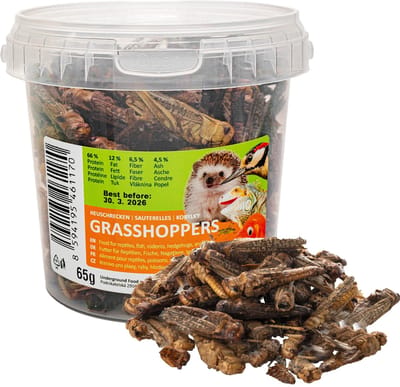 Dailygoods- Sprinkhanen Gedroogd 65 g - Insectensnack voor Reptielen/Knaagdieren - Vogelvoer voor Wilde Vogels - Gezonde Voeding - Hoog Eiwitgehalte - Insectenvoer