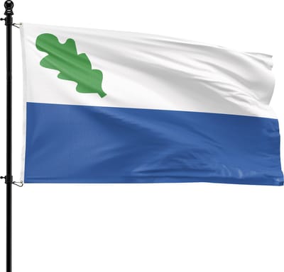 VlagDirect - Oirschot vlag - Gemeente Oirschot vlag - 90 x 150 cm.