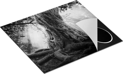 Chefcare Inductie Beschermer Grote Boom in het Bos met Wortels - Zwart Wit - 60x50 cm - Afdekplaat Inductie - Kookplaat Beschermer - Inductie Mat
