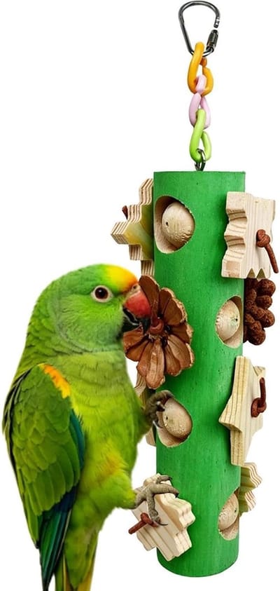 Vogel Kauwspeelgoed - Natuurlijk Hout - Snavel Onderhoud - Stimuleert Interactie - 26.5 cm - Groen