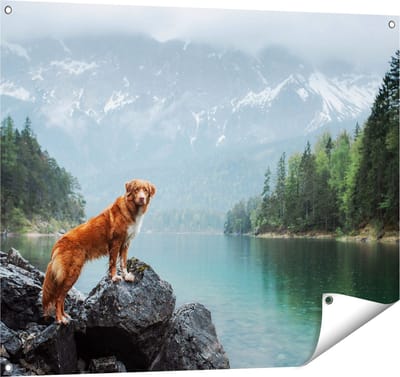 Gards Tuinposter Retriever Hond bij het Water in de Bergen - 100x80 cm - Tuindoek - Tuindecoratie - Wanddecoratie buiten - Tuinschilderij
