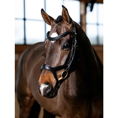 Hoofdstellen voor paarden LeMieux Kudos