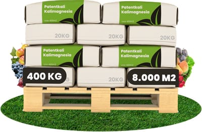 Patentkali Kalimagnesium Meststof - 20X = 400 Kg Voor 8000 M2 - Bevat Natuurlijke Kieseriet - Bevordert De Wortelgroei, Winterhardheid - Rijk Aan Magnesium - Bevat Geen Stikstof - Voor Gevoelige En Speciale Gewassen - Organifer
