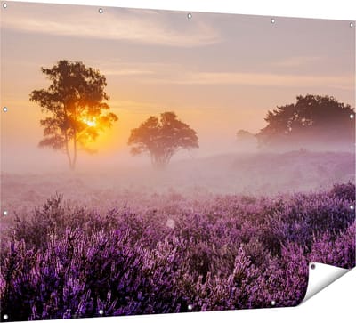 Gards Tuinposter Weide in de Veluwe bij Zonsondergang - 160x120 cm - Tuindoek - Tuindecoratie - Wanddecoratie buiten - Tuinschilderij