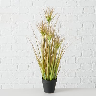 Plant in pot - Glanshaver - 60cm - Groen - Kunststof - Boltze