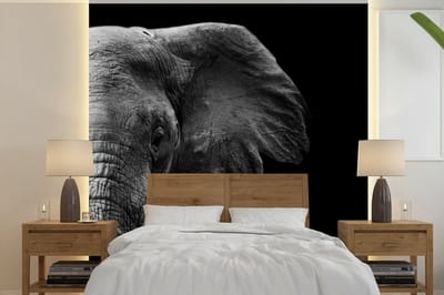 Behang - Fotobehang Dieren - Olifant - Wild - Zwart - Wit - Breedte 220 cm x hoogte 220 cm