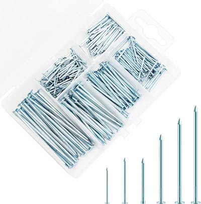 Dailygoods - Set van 250 Stuks Verzinkte Stalen Spijkers in 6 Maten - Inclusief Opbergdoos