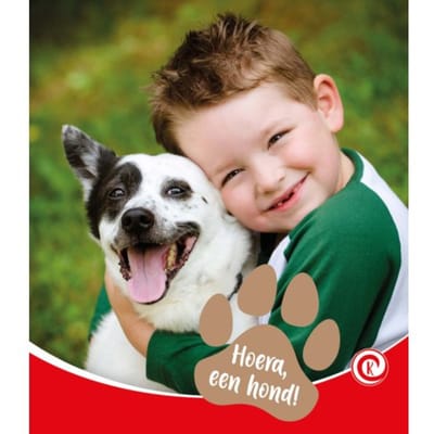 Hoera, Een Hond! - Kijkdoos - Minke van Dam