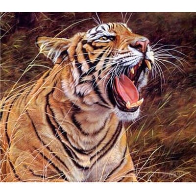 Kruissteek DIY diamant borduurwerk woeste tijger volledige ronde Diamond schilderij mozaïek Home Decor 20X30CM brown