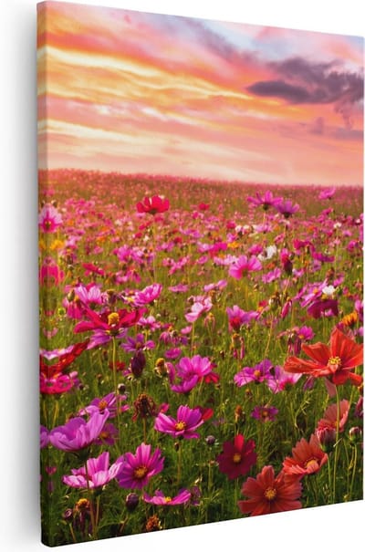 Artaza Canvas Schilderij Cosmea Bloemen - 40x50 cm - Wanddecoratie Bloemenweide - Muurdecoratie Natuur - Kamer Accessoires