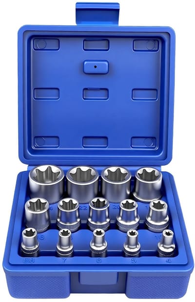Dailygoods- Torxsleutelset 14-delig - E-Torx - Chroom-vanadium-staal - Aandrijvingsgrootte 1/4"/3/8"/1/2" - Harde kunststof koffer - Ideaal voor onderhoud en reparatie - Dopsleutel