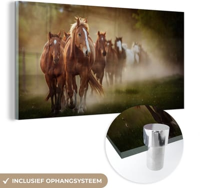 MuchoWow® Glasschilderij 80x40 cm - Schilderij acrylglas - Paarden - Licht - Natuur - Foto op glas - Schilderijen