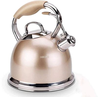 Geklokte Waterkoker - Theepot RVS - Water Koken - Vaatwasserbestendig - 2 Liter - Zilver