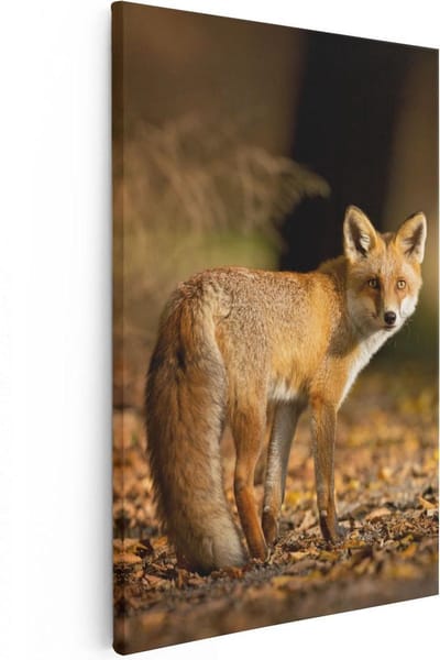 Artaza Canvas Schilderij Vos - 20x30 cm - Klein - Wanddecoratie Herfst - Muurdecoratie Dieren - Schilderijen Op Canvas Bos