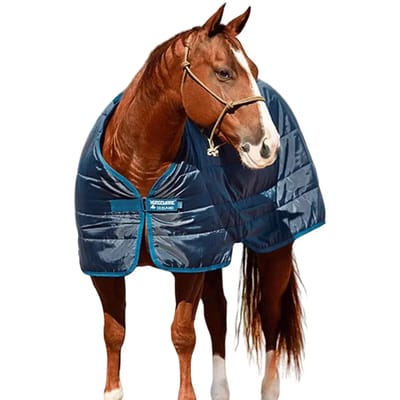 Horseware Onderdeken Horseware Liner 300gr Donkerblauw - 125/175