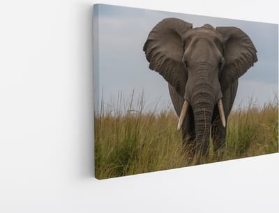 Saammp Canvas Schilderij - olifant in het gras - Afrika - Dieren - 45x30 - Foto op canvas - Wanddecoratie - muurdecoratie Woonkamer - Slaapkamer decoratie - Canvas Print