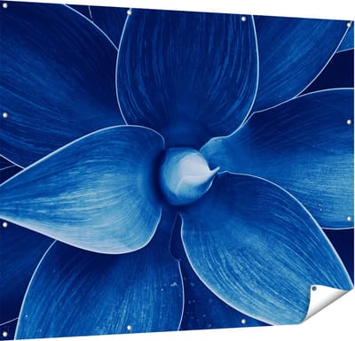 Gards Tuinposter Blauwe Agave Plant - Bloem - 150x120 cm - Tuindoek - Tuindecoratie - Wanddecoratie buiten - Tuinschilderij