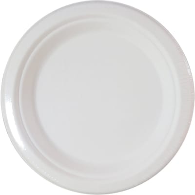 Vegaoo - 10 kleine witte bordjes van suikerrietvezel 18 cm composteerbaar
