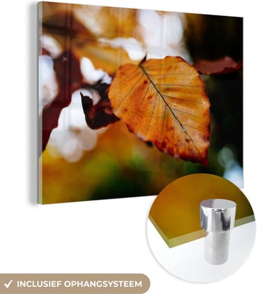 MuchoWow® Glasschilderij 40x30 cm - Schilderij acrylglas - Beuk - Herfst - Bladeren - Foto op glas - Schilderijen