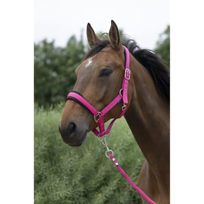 Halster en touwset voor grote paarden Norton
