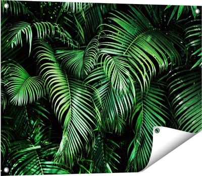 Gards Tuinposter Tropische Palm Bladeren - Groen - 80x60 cm - Tuindoek - Tuindecoratie - Wanddecoratie buiten - Tuinschilderij