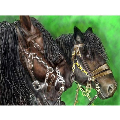 5D DIY diamant schilderij dieren strass schilderij diamant borduurwerk paard patroon kralen sets 20X30CM black