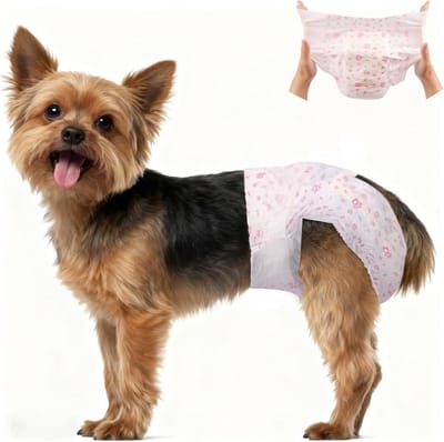 20 Wegwerp Hondenluiers voor Teefjes - Super Absorberend en Zacht, Ideaal voor Loopse Honden en Bescherming tegen Ongelukjes