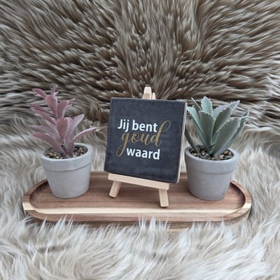 Robuust Wenstegeltje Jij Bent Goud Waard – Hip trendy tegeltje – Cadeau voor Vriendin, Juf, Zorgheld of Collega – Zomaar – Trendy nu – Deco – Stijlvolle Wanddecoratie – Decoratief Tegeltje met Standaard – Cadeau Idee