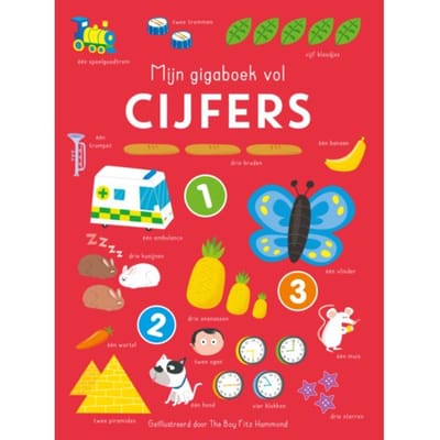 Mijn Gigaboek Vol Cijfers