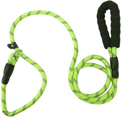 Allecto - Hondenriem - Reflecterend - Veiligheid - Groen - Nylon Touw
