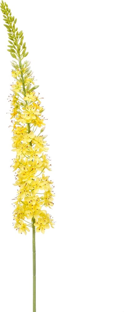 Emerald - Kunstbloem Eremurus XL 130cm geel - Kunstplant voor binnen