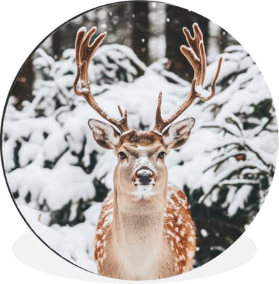 WallCircle - Wandcirkel - Muurcirkel - Hert - Sneeuw - Winter - Bos - Dieren - Aluminium - Dibond - 30x30 cm - Binnen en Buiten