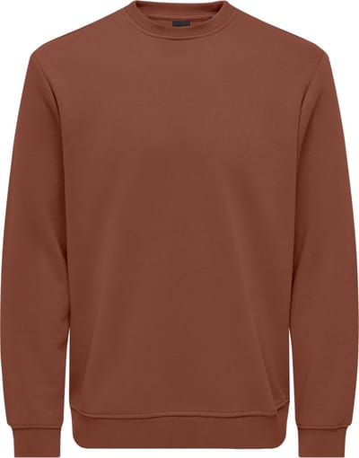 ONLY&SONS - ONSCONNOR LIFE REG CREW NECK SWEAT NOOS - Heren - Sweaters