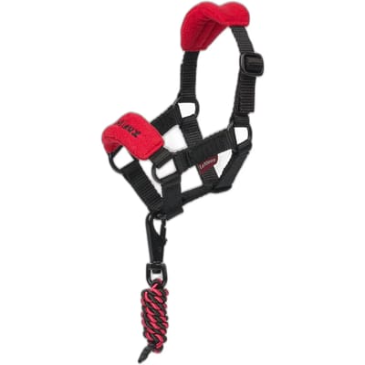 Halsband en longe voor knuffelstok LeMieux Toy Pony Vogue