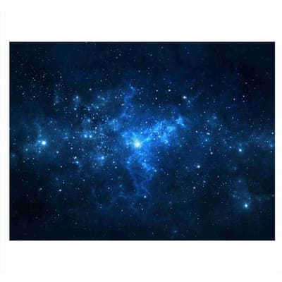 PVC Lijm   Aquarium Vissen   Achtergrond Poster Achtergrond Decoratie Papier (61*30cm)