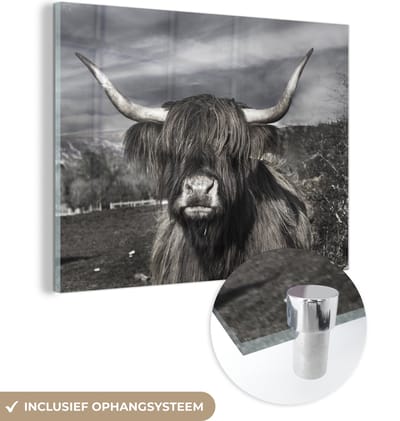 MuchoWow® Glasschilderij 160x120 cm - Schilderij acrylglas - Schotse Hooglander - Dieren - Hoorns - Foto op glas - Schilderijen
