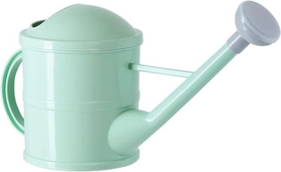 Plantengieter met handvat - Kleine gieter - Planten water geven - Afneembare tuitkop - 30 x 16 cm - Mintgroen