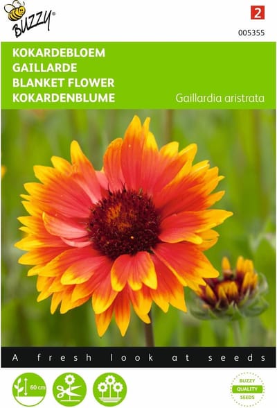 2 stuks Gaillardia, Kokardebloem