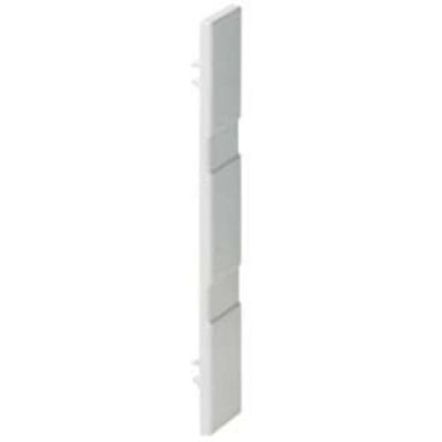 Siemens 8US19221AC00 Verzamelrailsysteem, accessoires railtussenruimte 60 mm eindafdekking Eindafdekking 690 V 10 stuk(s)