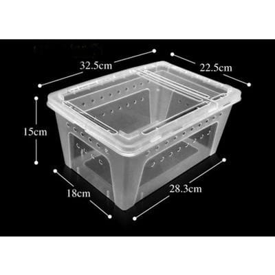 Boîte d'alimentation pour rampants Boîte pour animaux rampants Bébé ver à soie Araignée Scorpion Boîte Palais Gardien Lézard Serpent Escargot Insecte Tortue Terrarium blanc