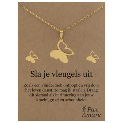 Stainless Steel Vlinder Ketting + Oorbellen Setje op Cadeau Kaartje - Sla je vleugels uit - 45 cm ketting & ± 10x10mm Oorknopjes - Goudkleurig Roestvrij Staal - Pax Amare