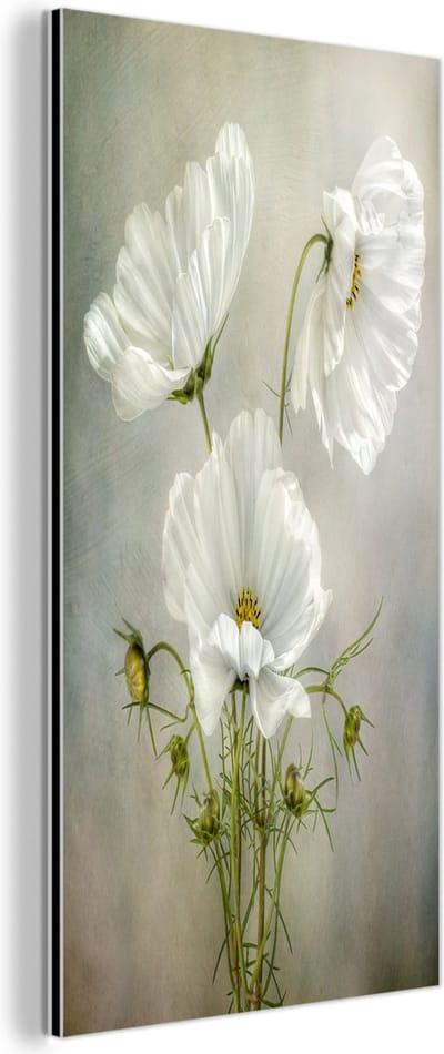 Aluminium schilderij 80x160 cm - Wanddecoratie metaal - Bloemen - Stilleven - Klaproos - Wit - Botanisch - Metalen muurdecoratie woonkamer - Decoratie industrieel - Foto op dibond - Industriële accessoires slaapkamer