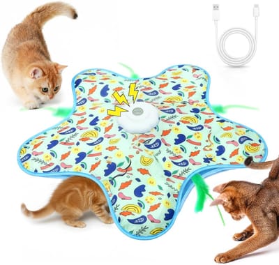 Daity Speelgoed voor binnenkatten: Oplaadbaar interactief kattenspeeltje — Aanraakgeactiveerde 'verstoppertje'-modus; specifiek ontworpen om verveling bij volwassen binnenkatten tegen te gaan (Blauw)