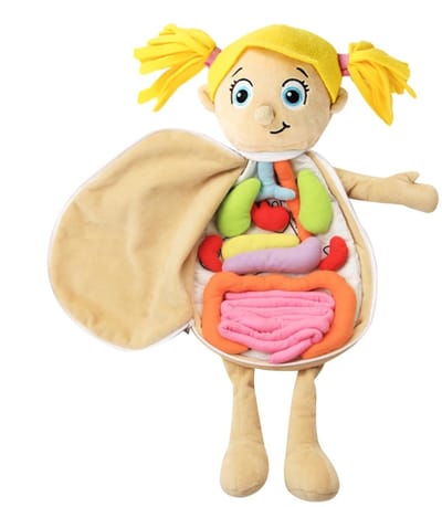 Anatomie Pop - Orgaan Model - Leren Lichaam - Pluche Materiaal - 49 x 33 x 6 cm - Multicolor