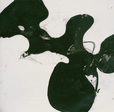 Eleventh Dream Day - The Stalled Parade (CD)