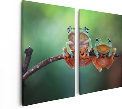 Artaza Canvas Schilderij Tweeluik Twee Boomkikkers op een Tak - 80x60 - Foto Op Canvas - Canvas Print