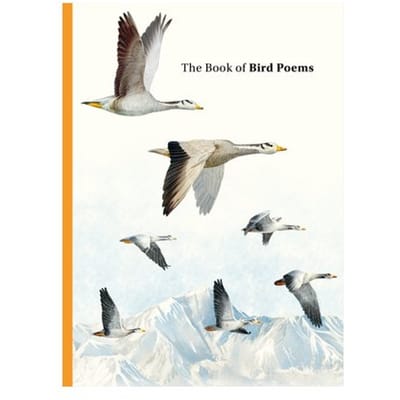 The Book Of Bird Poems - Ana Sampson