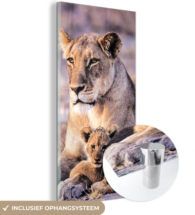 MuchoWow® Glasschilderij 20x40 cm - Schilderij acrylglas - Leeuwin - Leeuw - Welp - Foto op glas - Schilderijen